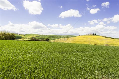 春初在草原之间有柏油路的意大利风景的农业田野和牧场高清图片下载-正版图片307009969-摄图网