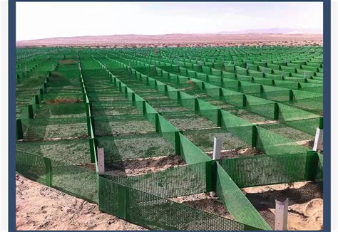 防沙网 沙漠边缘地带和公路、铁路两边防风固沙阻挡风沙用尼龙网