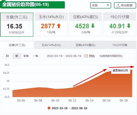 8月18日猪价：喜迎2连涨！白条猪价格上浮，猪价新一波上涨潮来袭？ - 猪好多网