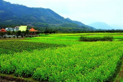 广西桂林临桂区自然资源局网站