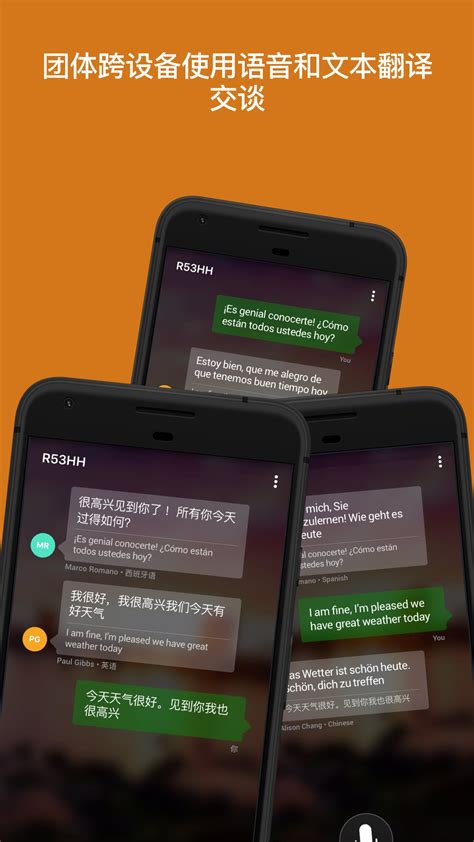 微软翻译下载安卓最新版_手机app官方版免费安装下载_豌豆荚
