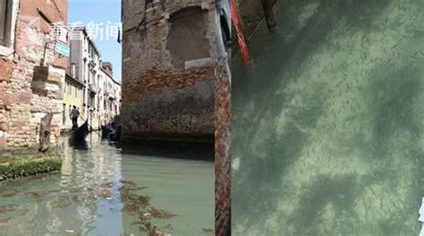 意大利因疫情封锁全国，威尼斯运河一夜变干净_手机新浪网