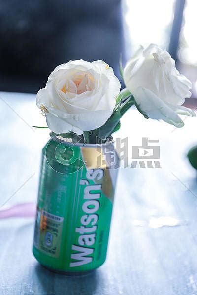 夏日玫瑰花园高清图片下载-正版图片600787775-摄图网