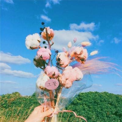 非主流花朵微信头像