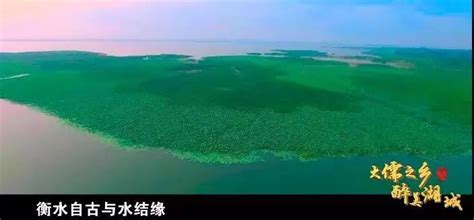 首次发现！河北衡水湖国家级自然保护区新增231个新物种_手机新浪网