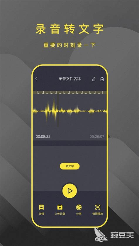 录音翻译成文字的软件app免费大全2022 人气录音转换软件有哪些_豌豆荚
