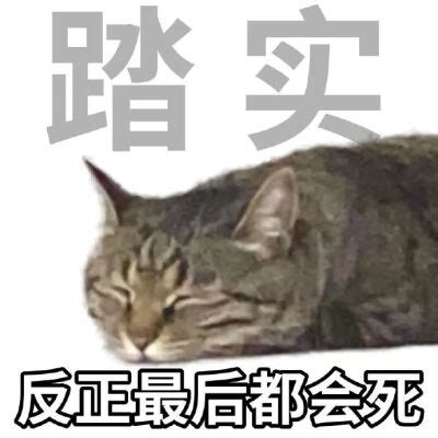 癫猫神经猫表情包图片 癫猫神经猫表情包图片