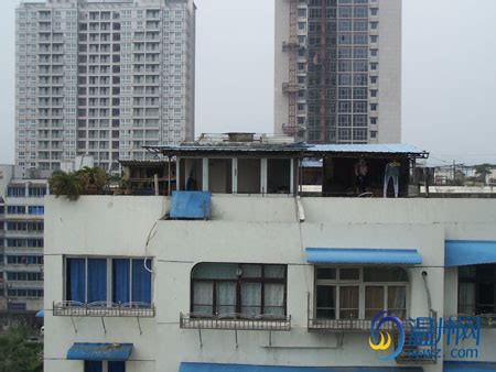 温州市区屋顶棚很常见 规划部门明确属于违建,违法建筑,三大整治,温州 - 独家报道 - 温州网