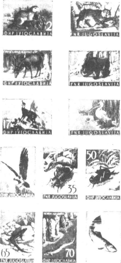 1954.6.30 南斯拉夫的动物-邮票-图片