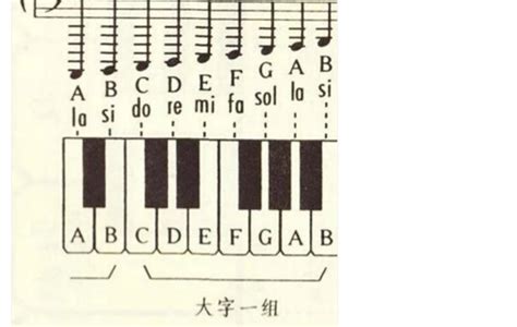 青岛钢琴：从哪些方面来看，孩子是否适合学钢琴？|正一琴行动态 - 青岛正一琴行