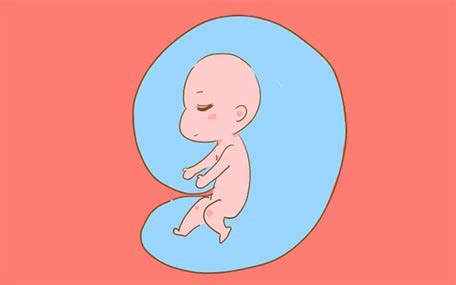 胎儿在肚子里会痛会无聊吗 胎儿10大神奇知识 _八宝网
