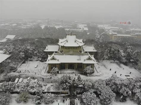 下雪啦！一觉醒来，武汉居然美成了这样！朋友圈都被刷屏了
