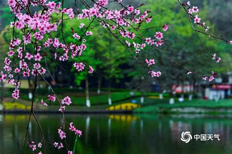重庆彩云湖湿地公园 花红柳绿惹人醉-图片频道