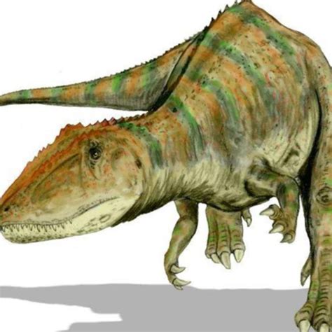 巨齿龙：法国大型食肉恐龙（长8.5米/距今1.66亿年前）_小狼观天下