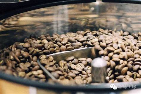 云南小粒咖啡是铁皮卡还是卡蒂姆 咖啡豆风味特点对比区别 中国咖啡网