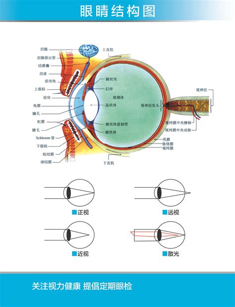 眼镜镜框结构基础知识及材料_深圳市视普泰职业技能培训中心