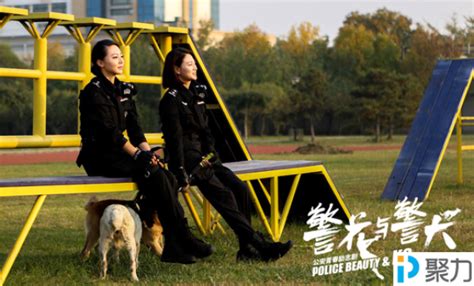 《警花与警犬》浙卫独播于和伟带队犬界“PTU”-搜狐娱乐