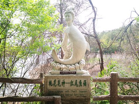 丹江大观苑推出中国旅游日专享活动 - 河南省文化和旅游厅