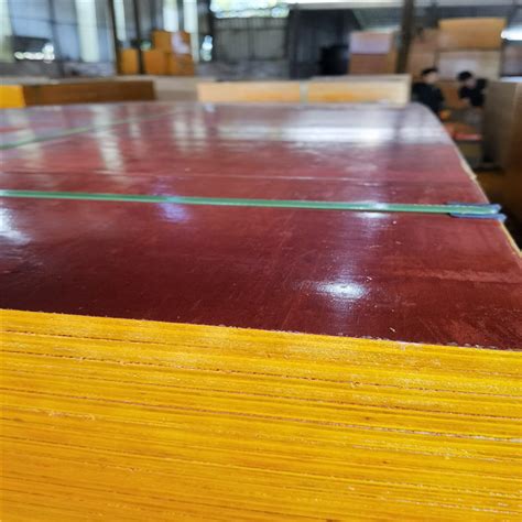 1220mm*2440mm覆膜板 - 建筑模板 - 眉山市胜兴木材加工厂