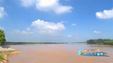 高青：发挥河湖长制优势 保护黄河生态环境