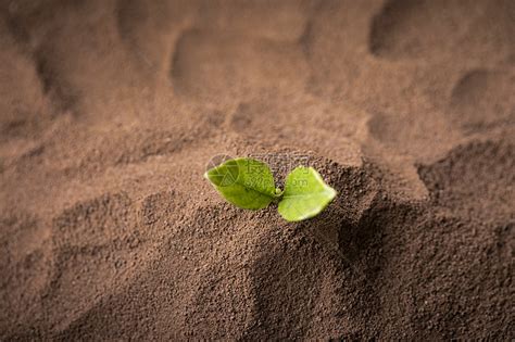 泥土是地球的宝藏，刚开始的时候，地球上的泥土是怎么形成的？