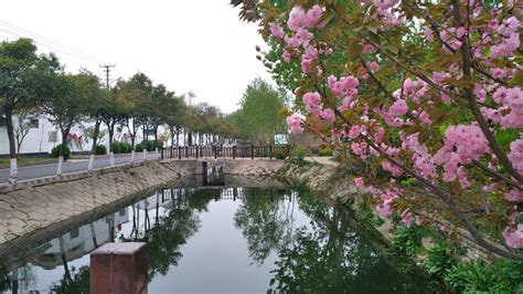 池塘和村庄和美丽的景色高清图片下载-正版图片505771559-摄图网