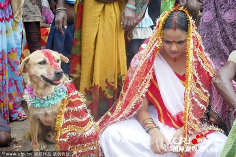 印度部落为驱走厄运逼迫18岁少女与流浪狗结婚 _海南频道_凤凰网