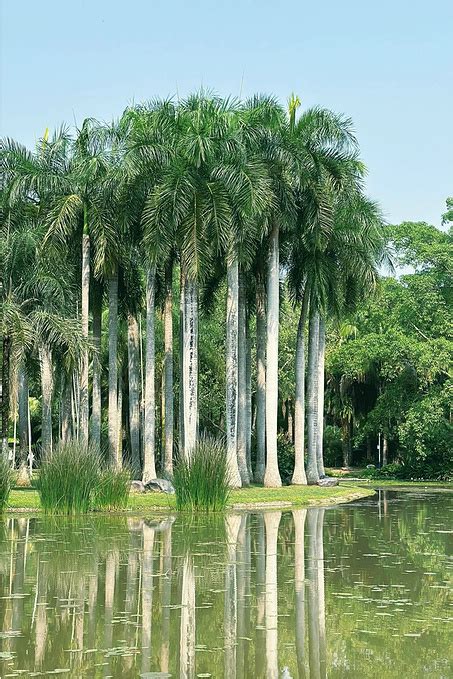 2019中科院西双版纳热带植物园-旅游攻略-门票-地址-问答-游记点评，西双版纳旅游旅游景点推荐-去哪儿攻略