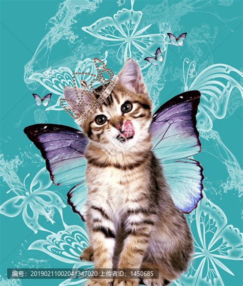 蝴蝶猫,动物素材,设计素材,设计模板,汇图网www.huitu.com