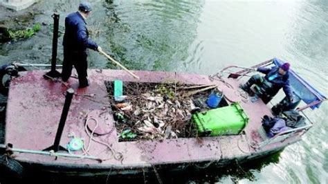 大明湖放生鱼大量死亡 景区每天要捞上百斤（图）-闽南网