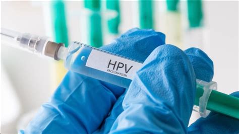 HPV的类型-有来医生