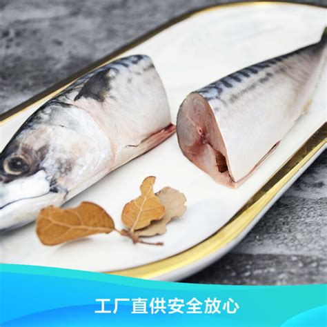 青占鱼 船冻 鲭鱼 鲐鲅 冷冻 批发 冷冻海鲜 大量供应-阿里巴巴