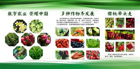 创意食品生鲜超市农产品新鲜生态菜蔬菜海报图片下载 - 觅知网