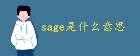 sage是什么意思中文 - 战马教育