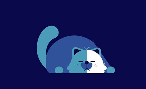 下载懒猫视频剪辑软件-懒猫视频app下载v1.1 安卓版-2265安卓网