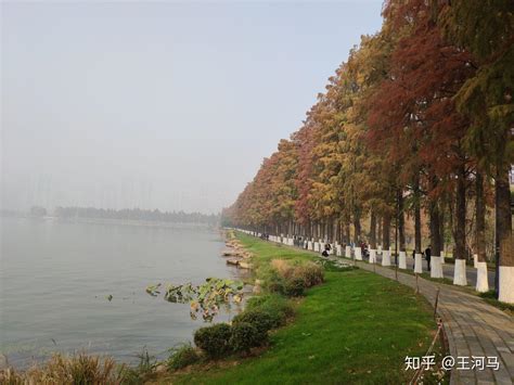 冬季武汉适合游玩的地方推荐 常规景点玩腻了来点不一样的吧-旅游官网