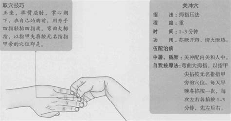 冲脉的准确位置图图片