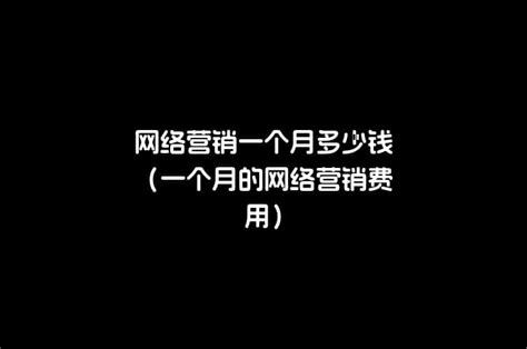 个人网站SEO优化推广大概需要多少费用