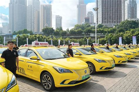 上海四大出租车公司新能源车集体亮相有人了解吗_问答小屋