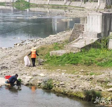 桑植县陈家河镇开展爱国卫生运动，建设美丽整洁家园 - 张家界 - 新湖南