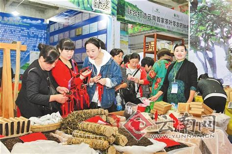 普洱茶产品交易博览会举办 - 图片 - 云桥网
