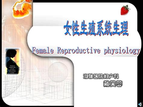 女性生殖系统器官特写图片免费下载_红动中国