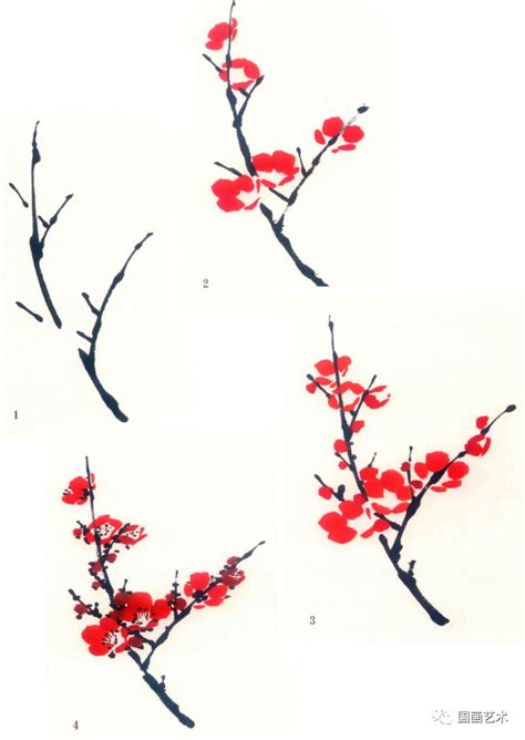 一颗红艳的的寒梅怎么画 带线稿和上色的插画素材 详细的梅花教程[ 图片/20P ] - 才艺君