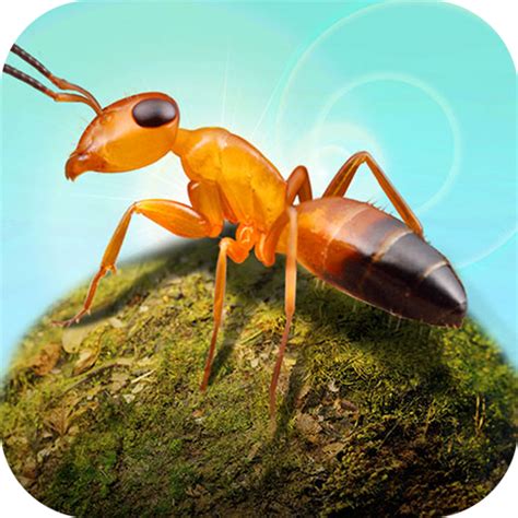 ohayoo蚂蚁帝国游戏-ohayoo蚂蚁帝国手机版(暂未上线)v1.0-游戏观察