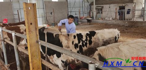 我所积极帮扶基层养殖户复工复产_中国农业科学水牛研究所