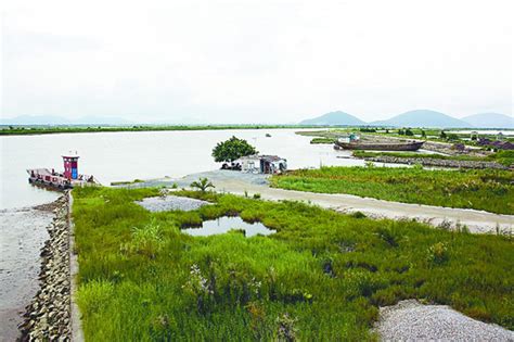 珠海鹤洲保存着一片珠江口最具创造价值的湿地，专家称 有条件成为全国最大湿地公园 _湿地中国_www.shidi.org
