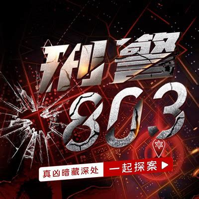 中国刑警803剧情介绍（1-50全集）大结局_电视剧_电视猫