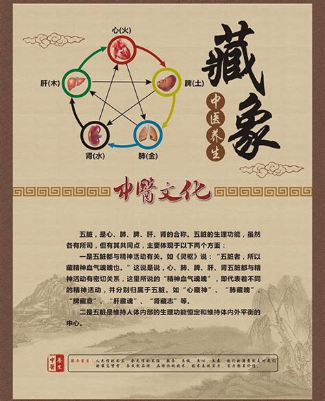 中医养生文化海报模板素材-正版图片400396531-摄图网
