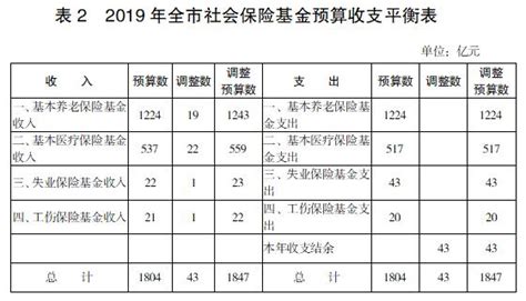 重庆市人民政府关于2019年市级预算调整方案的报告_重庆市财政局