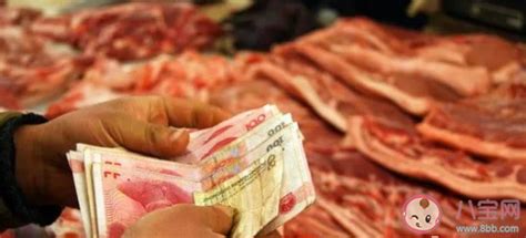 2020猪肉每公斤降了6元是怎么回事 2020猪肉为什么降价了 _八宝网